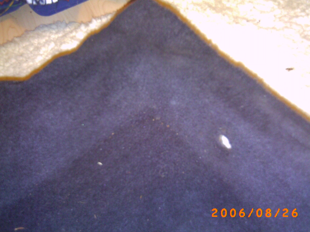 PICT0002.JPG