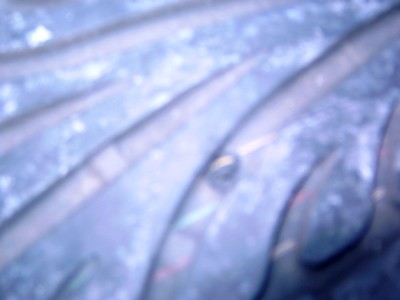 Y4110004.JPG