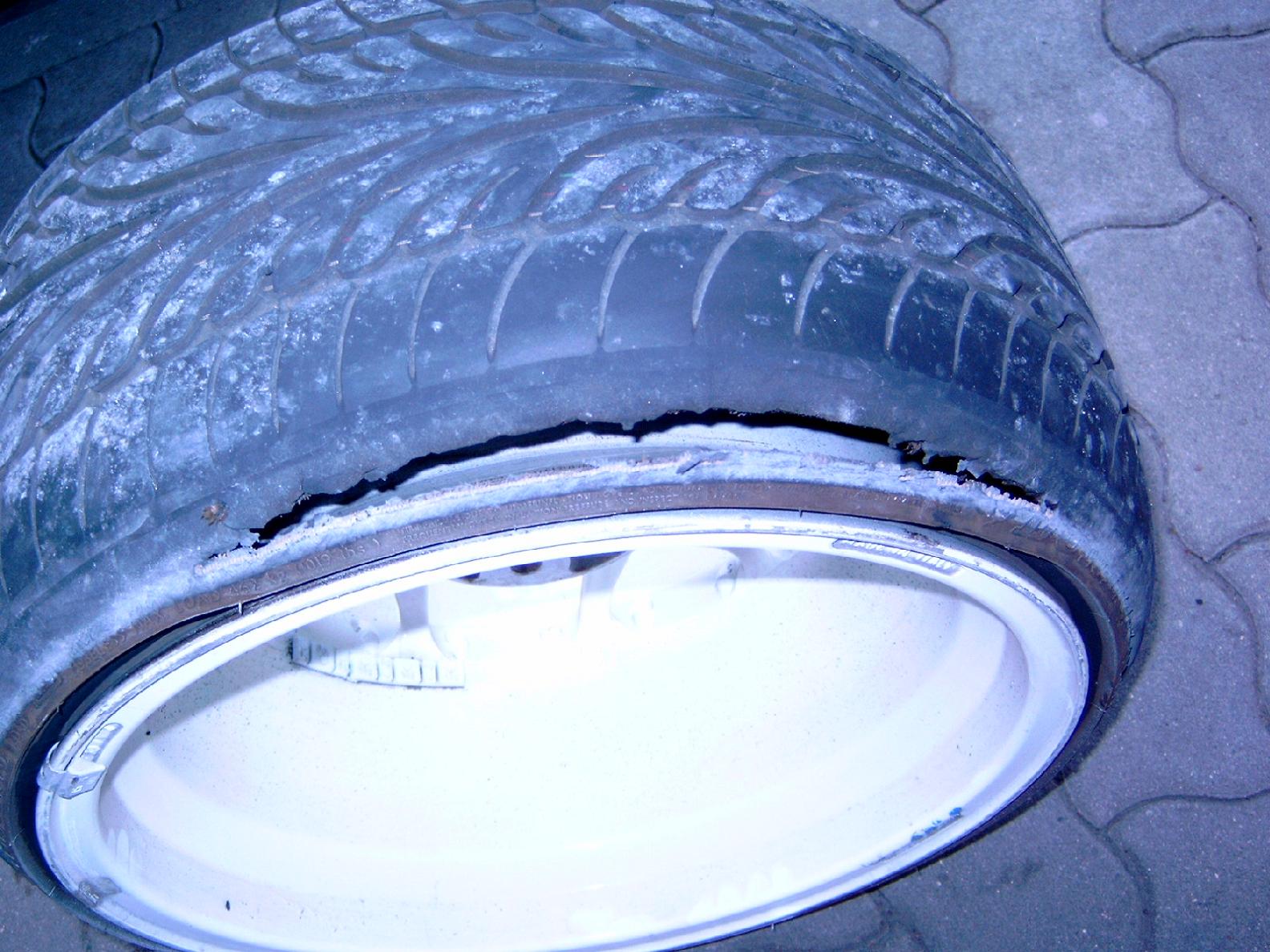Y4110003b.JPG