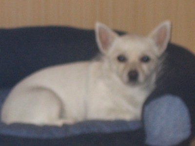 Bild 001.jpg