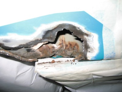 Bild 062.jpg