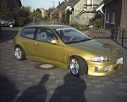 69778423_1.jpg