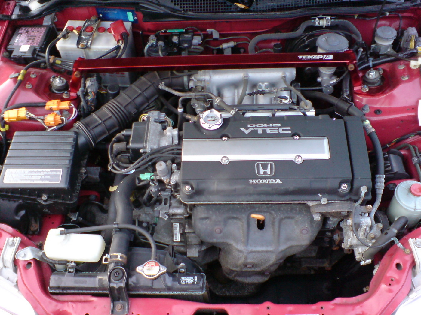DSC00006.jpg