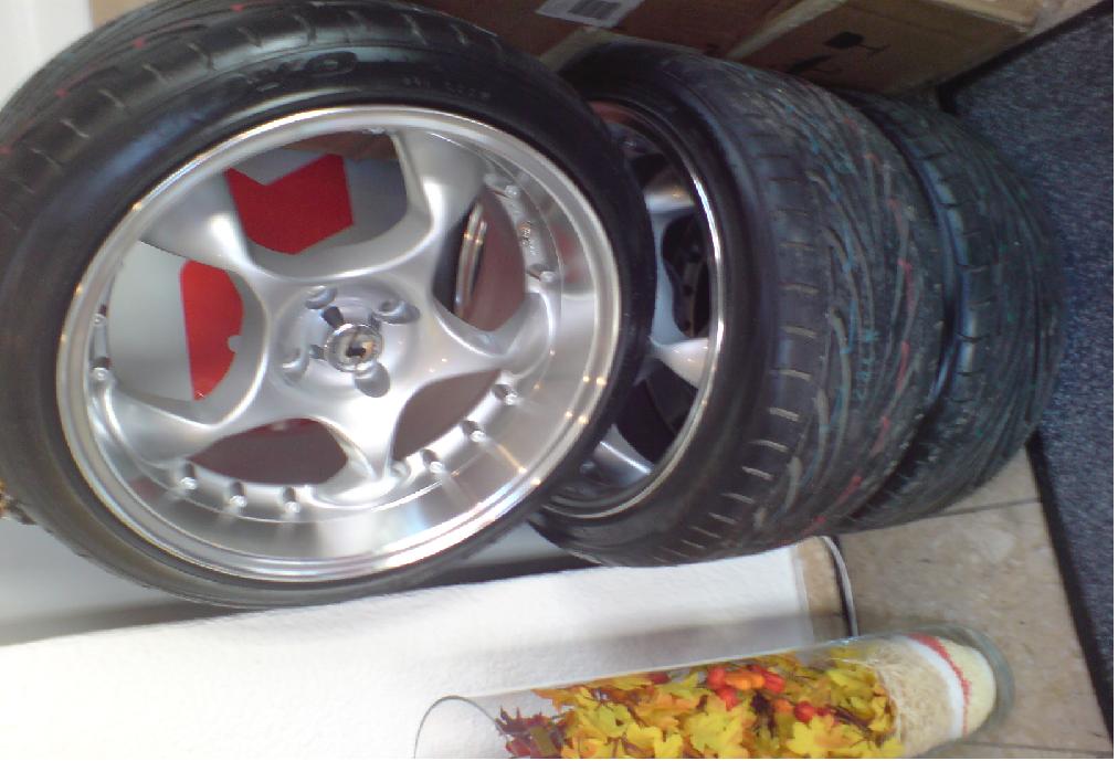 DSC00111 a.JPG