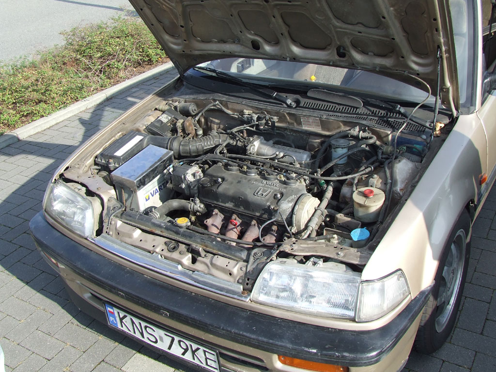 DSCF2697.jpg