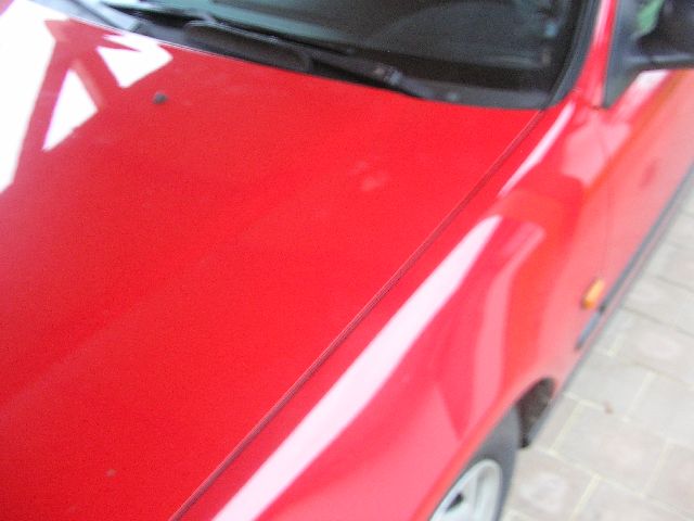 PB290026.JPG