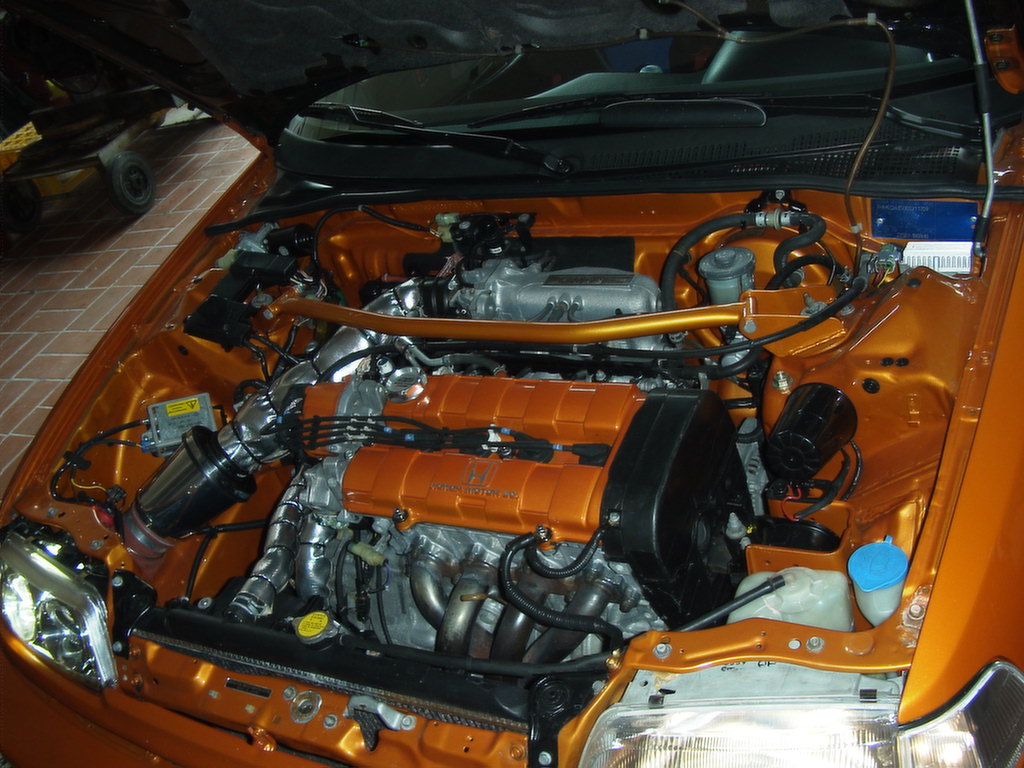 RIMG0268.JPG