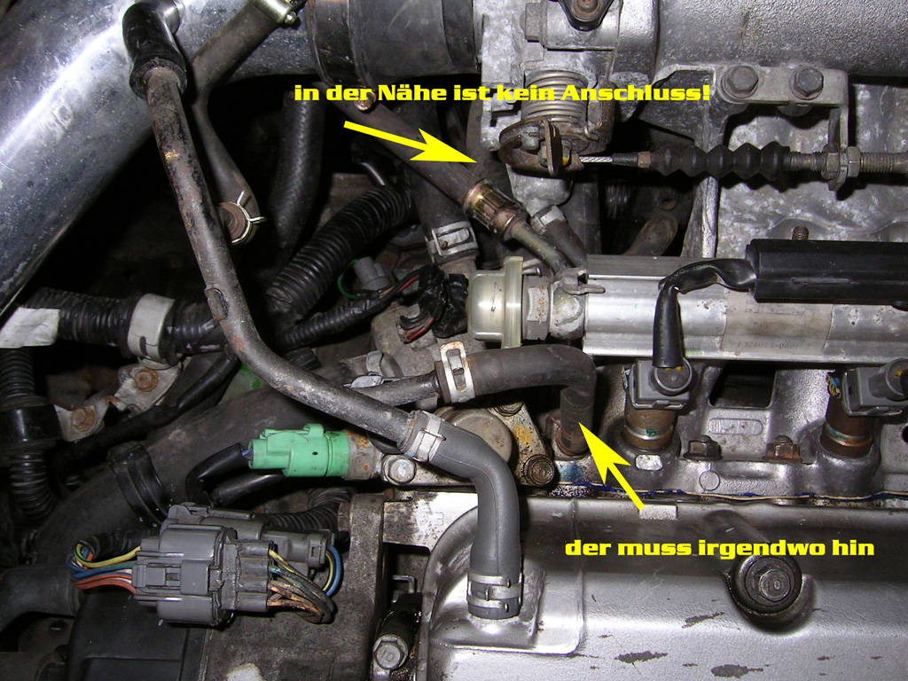 SANY0164.jpg