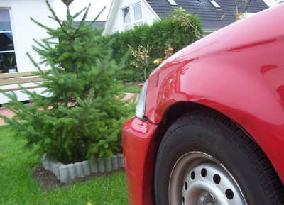 100_1559.jpg