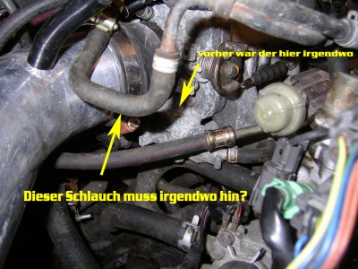 SANY0165.jpg