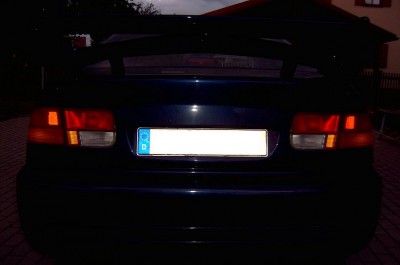 SV300011.JPG