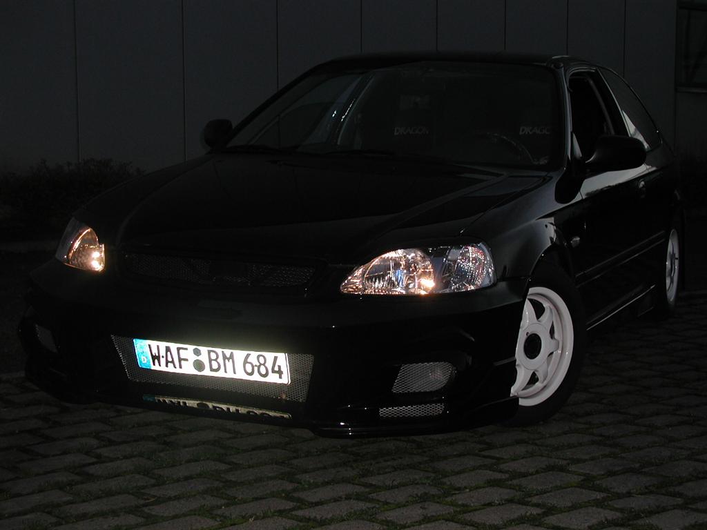 01 (Large).JPG