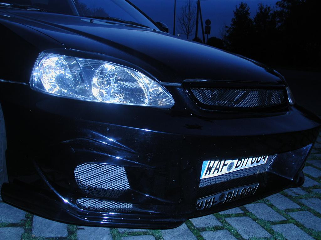 03 (Large).JPG