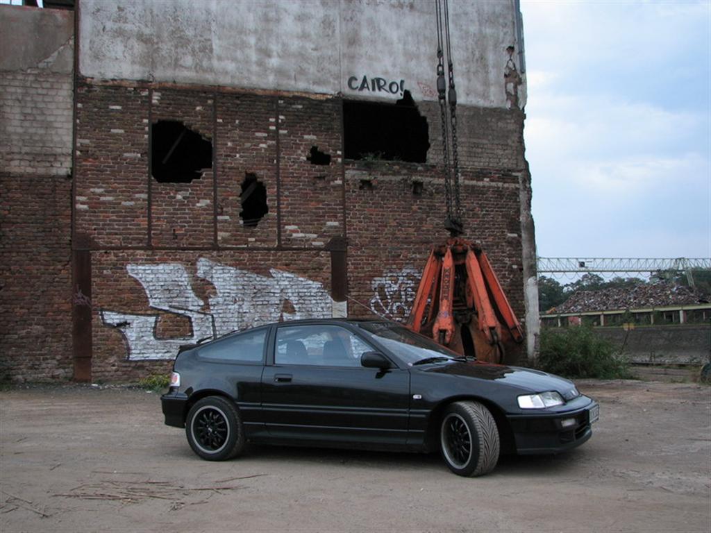 1 (Large).jpg