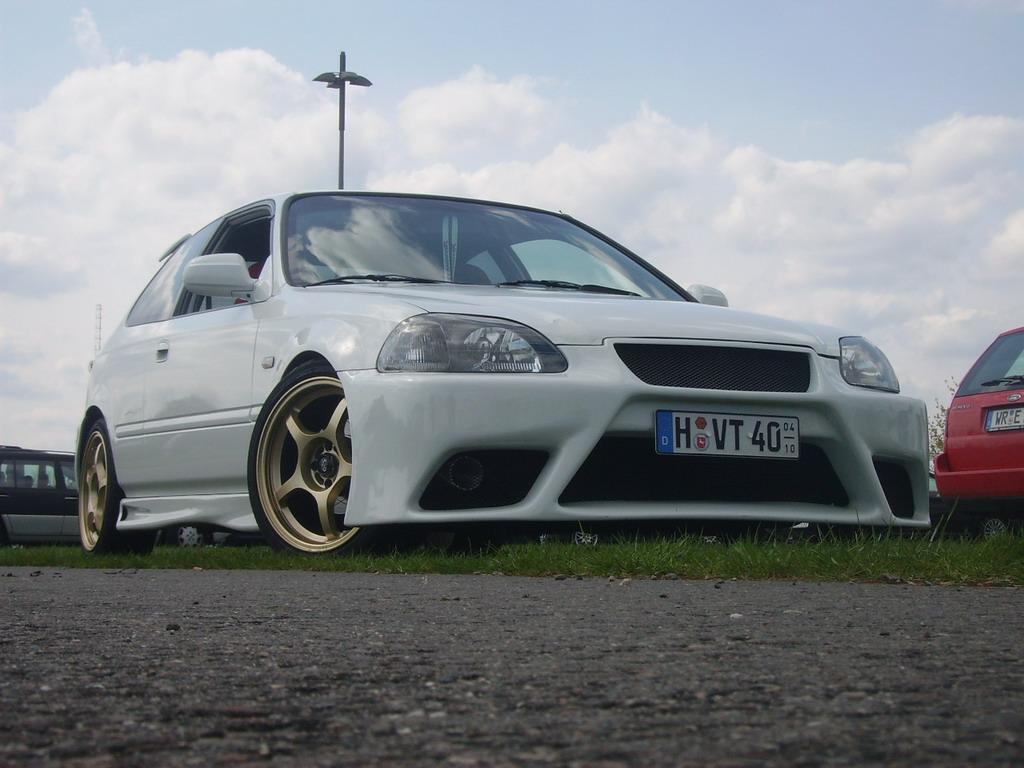 1 (Large).jpg