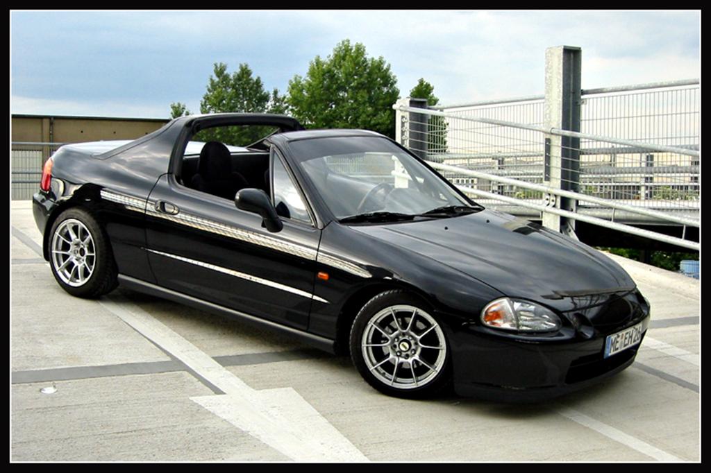4 (Large).jpg