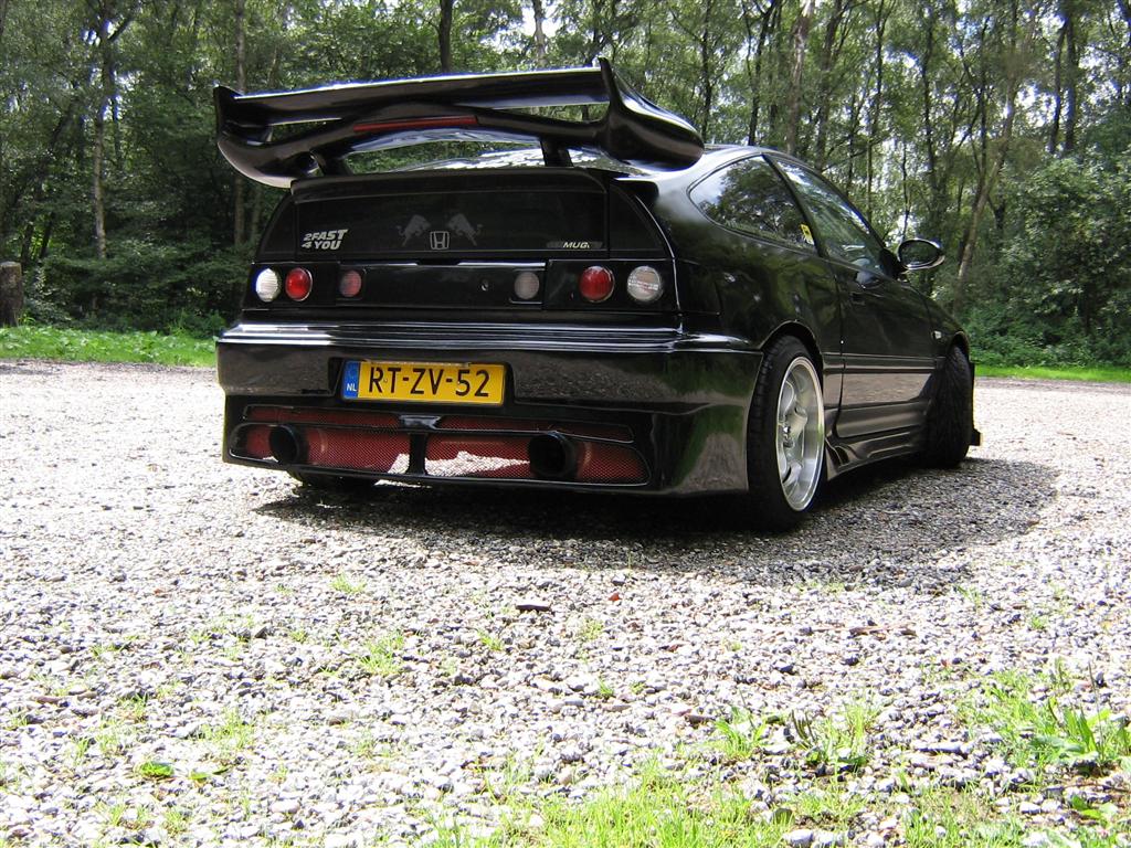 Bild 008 (Large).jpg