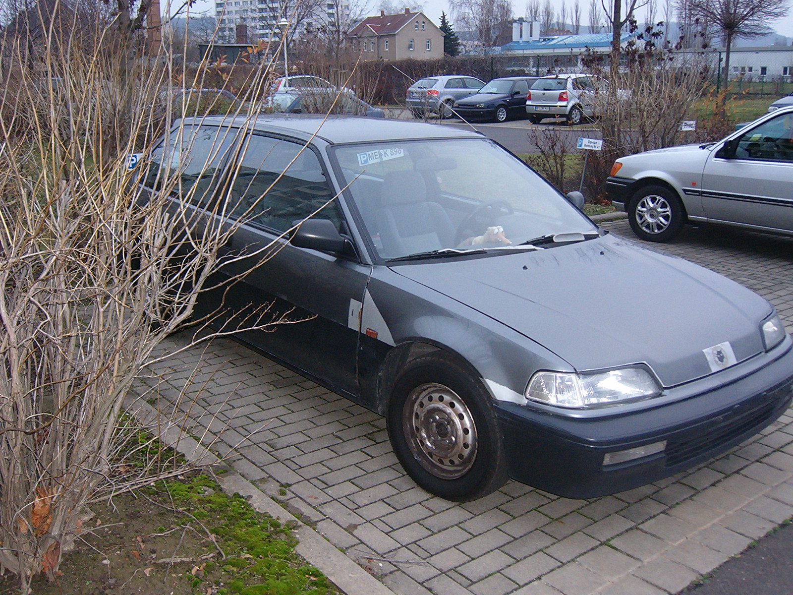 bilder 011.jpg