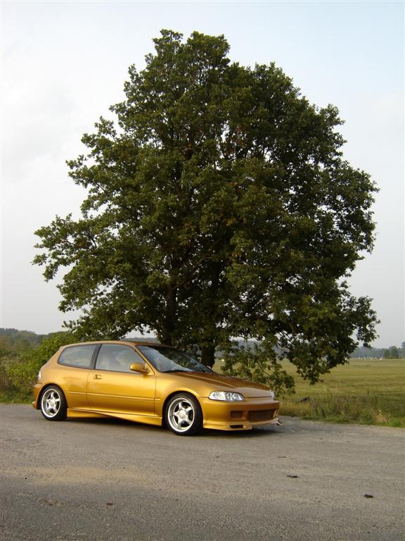 Civic 01 (Large).jpg