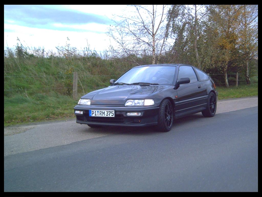ED9 (Large).JPG