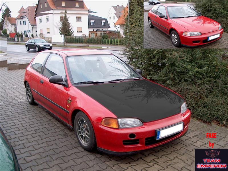 eg4-1_bearbeitet-1 (Medium).jpg