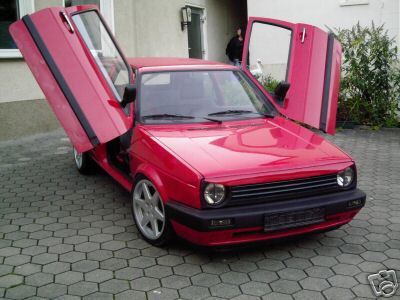 flügeltüren.jpg
