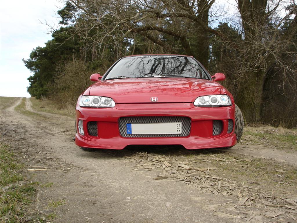 Front (Large).jpg