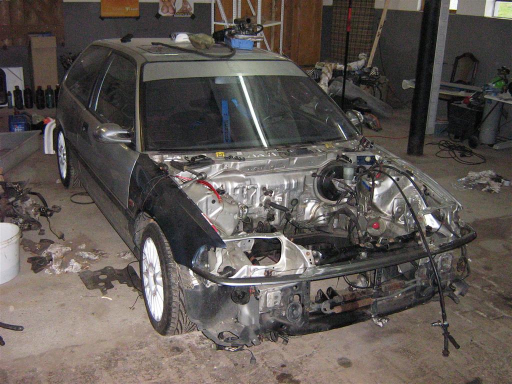 IMG_0433 (Large).JPG