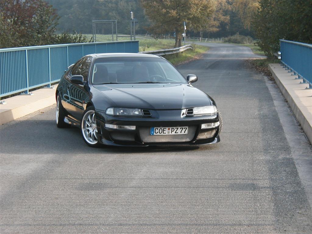 P1010003 (Large).JPG