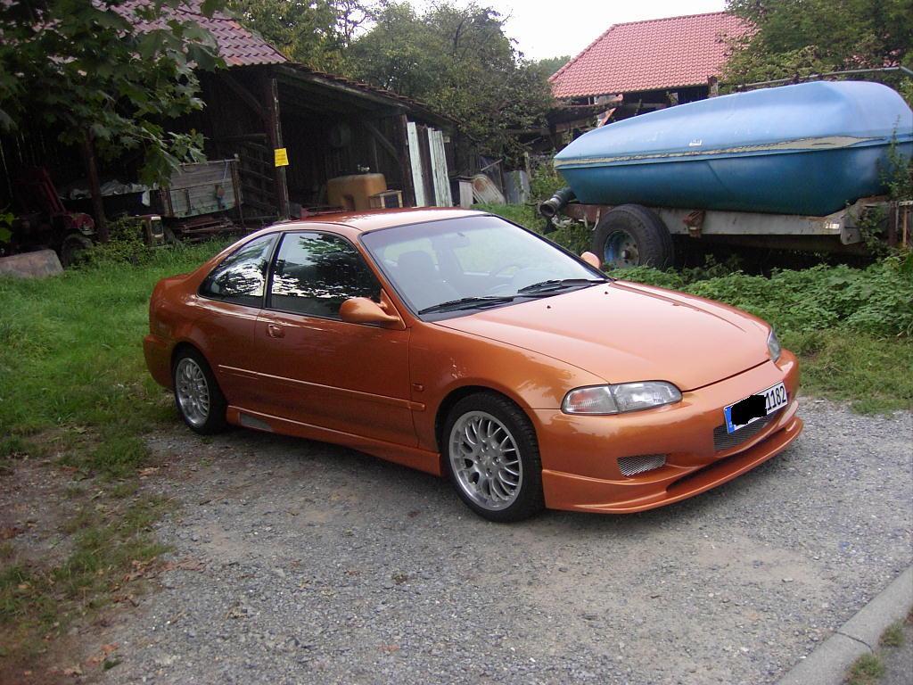 PIC_0133 (Large).JPG