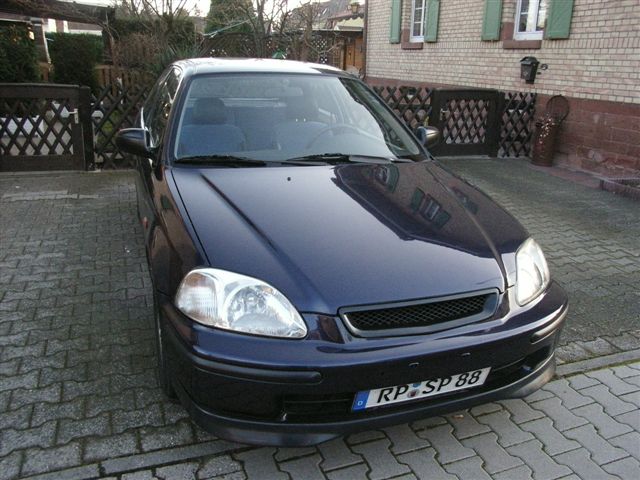 RIMG0776.JPG