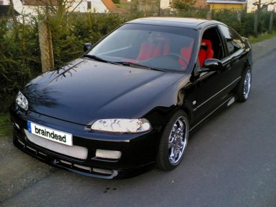 Front (Large).jpg
