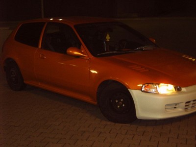 IMG10040.JPG