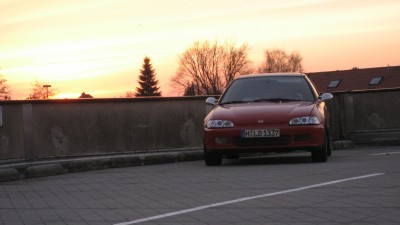 IMG_0181.JPG