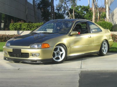 Picture037 (Medium).jpg