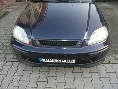 RIMG0778.JPG