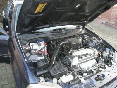 RIMG0788.JPG