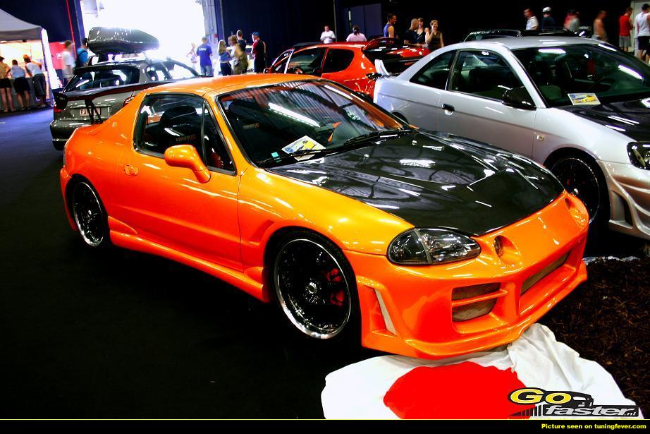 181086_max[1].jpg