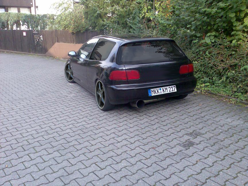 d Kopie.jpg