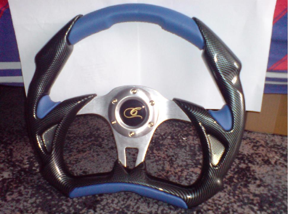 DSC00290a.JPG