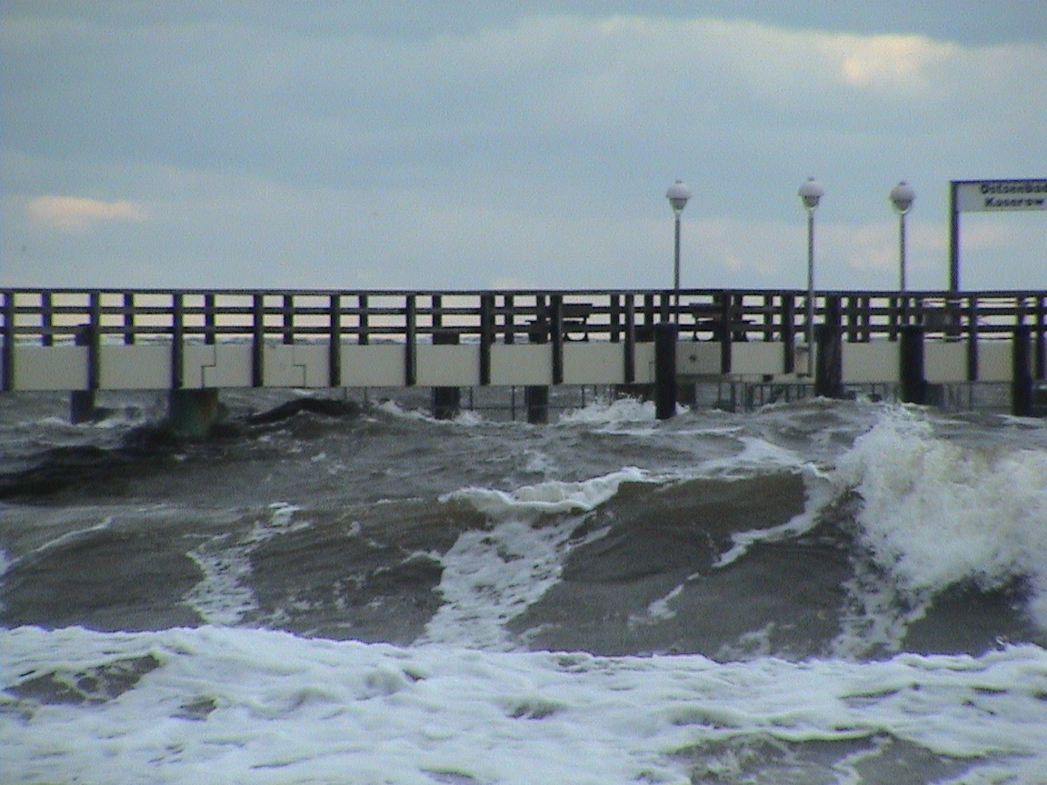 DSC00345.JPG