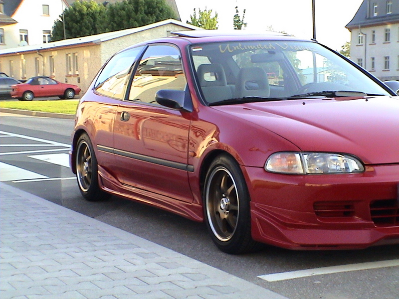 DSC00737.jpg