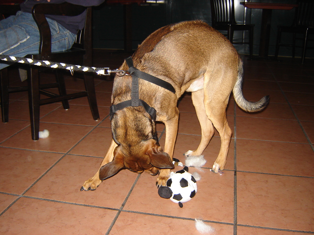 DSC05578.JPG