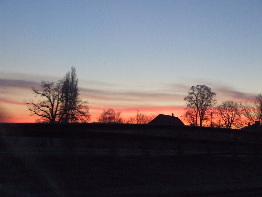 DSCF3676.jpg