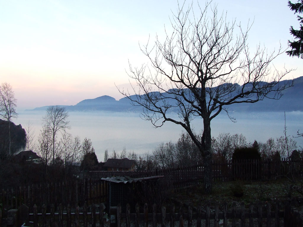 DSCF3683.jpg