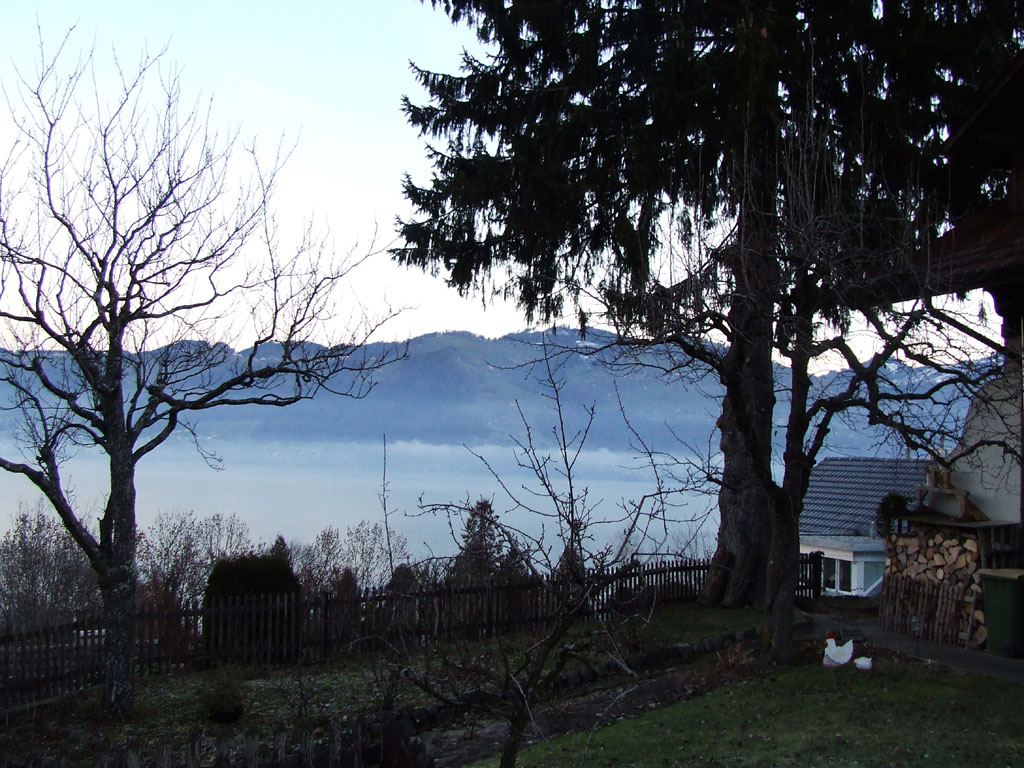 DSCF3685.jpg