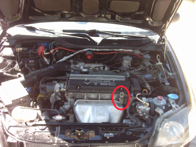 motor.JPG