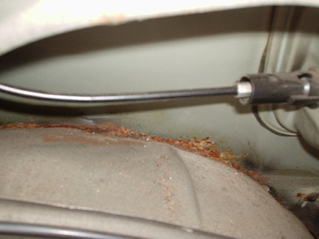 Rost 005.jpg