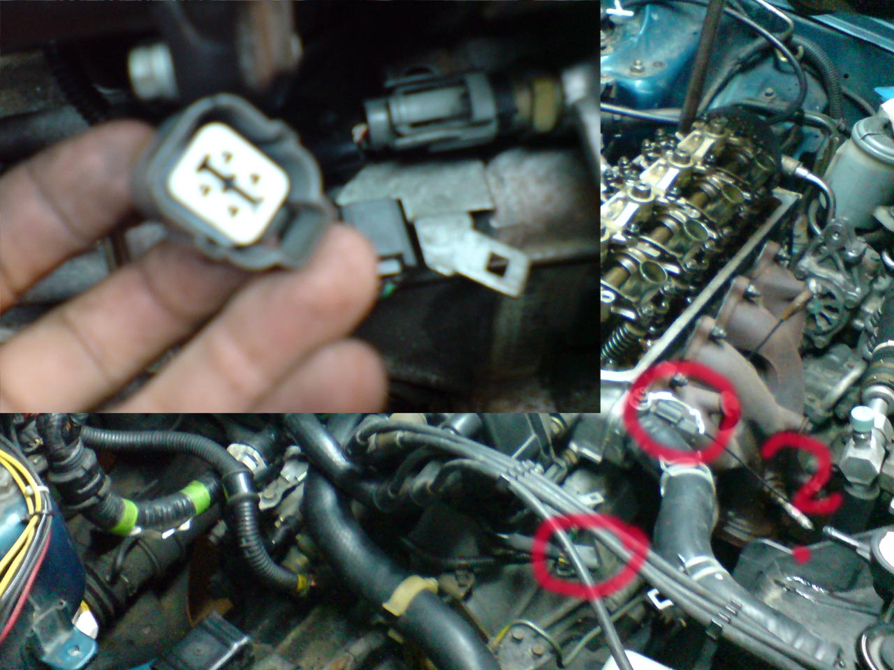 stecker.jpg