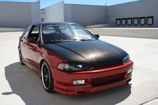 teamadvan_pic_hatch_02large.gif